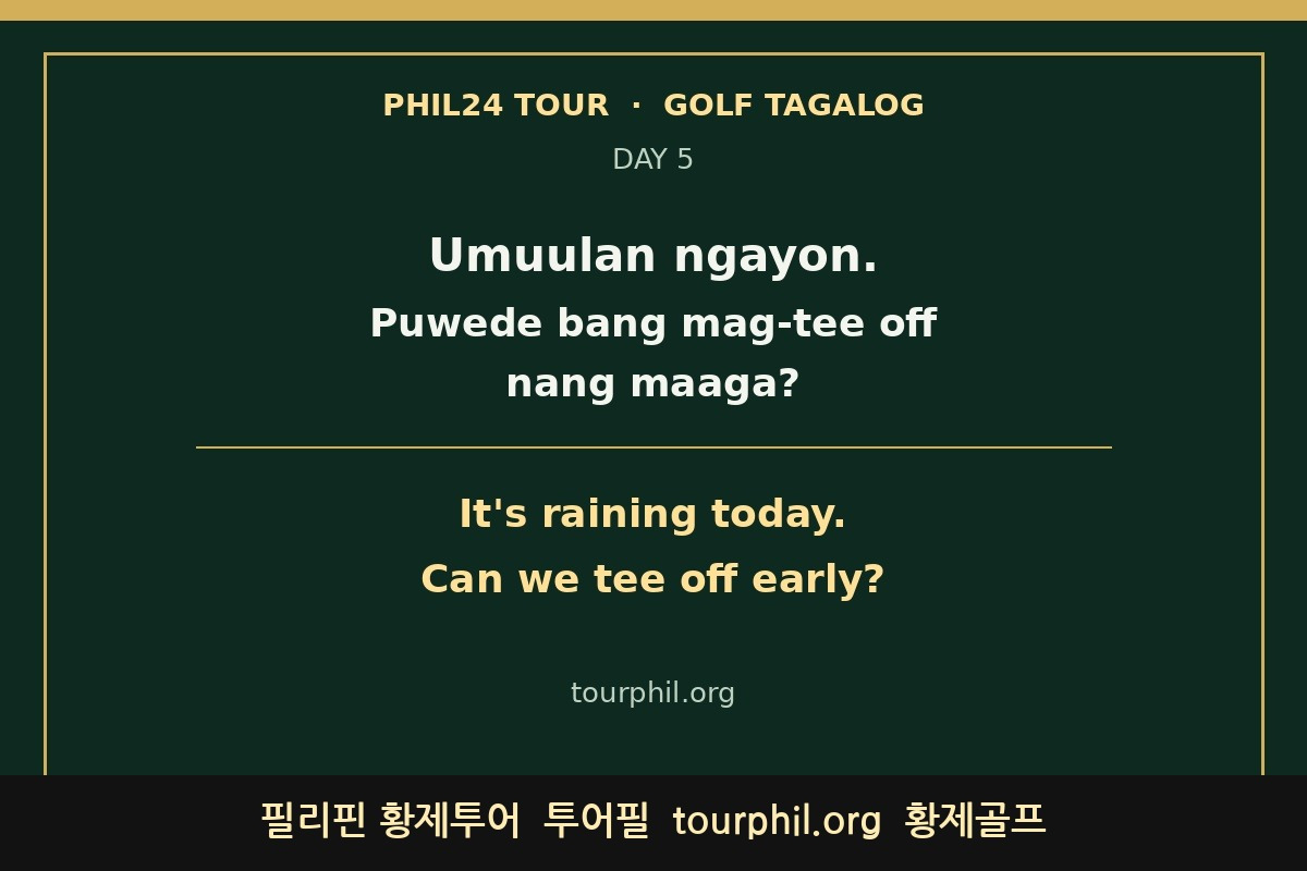 첨부 사진