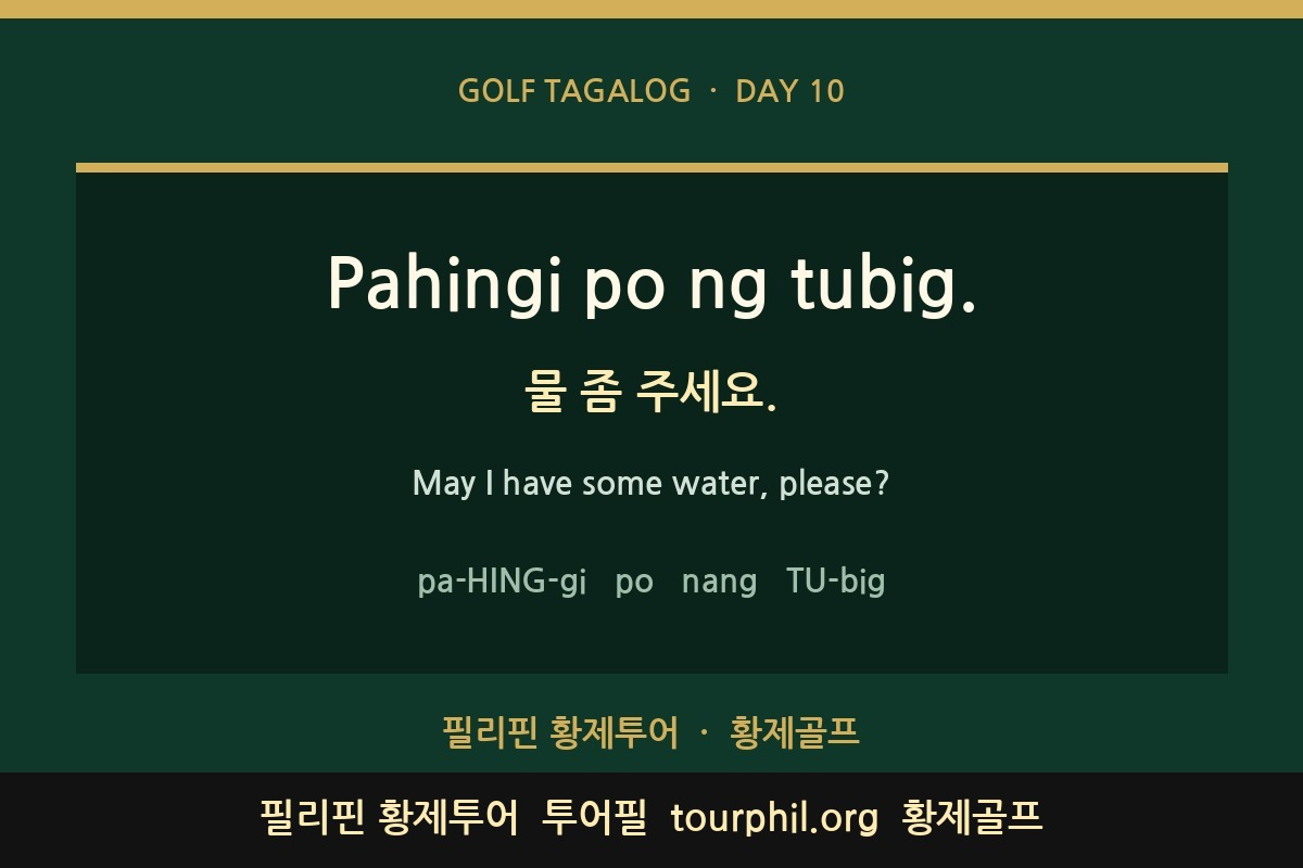 첨부 사진