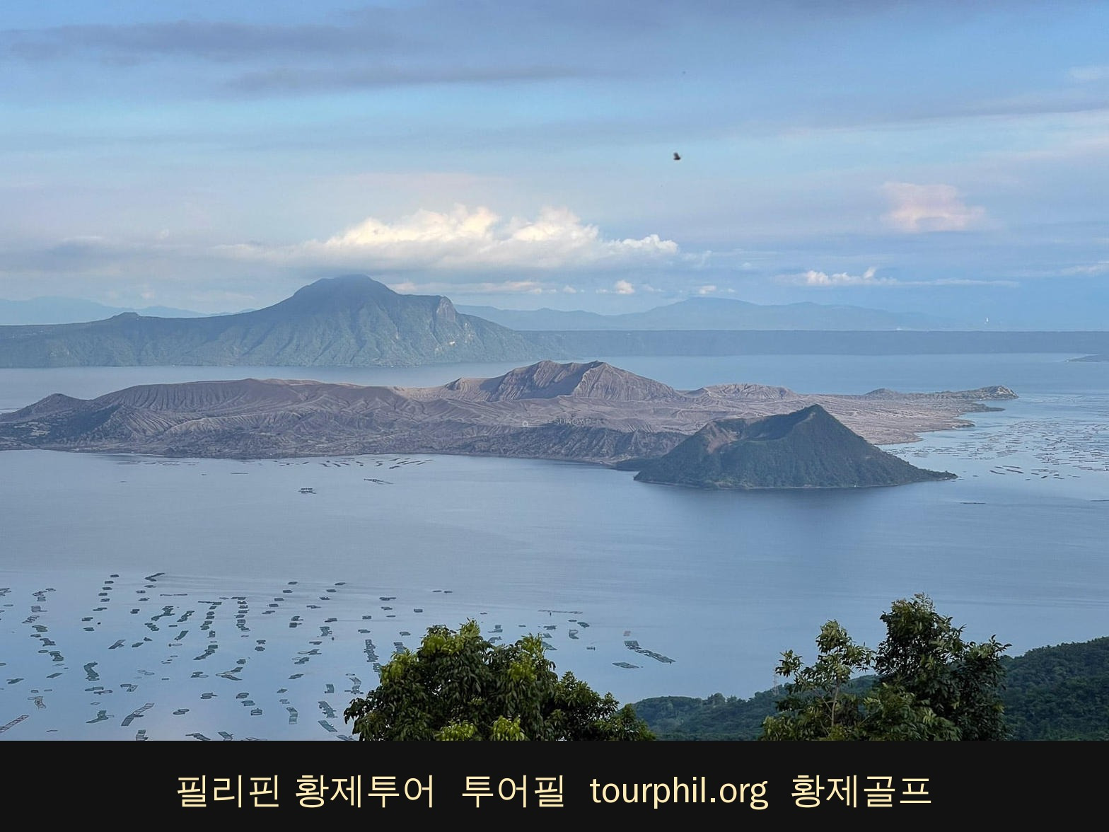 첨부 사진