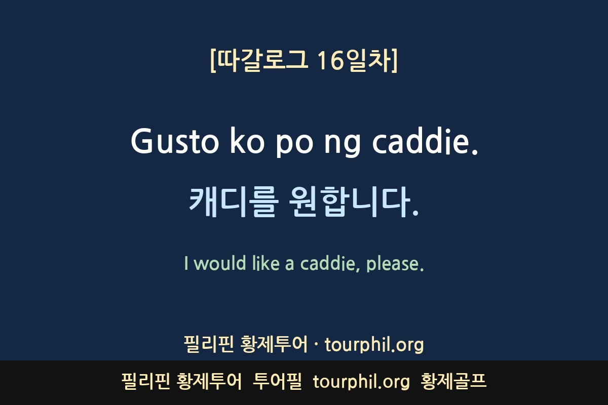첨부 사진