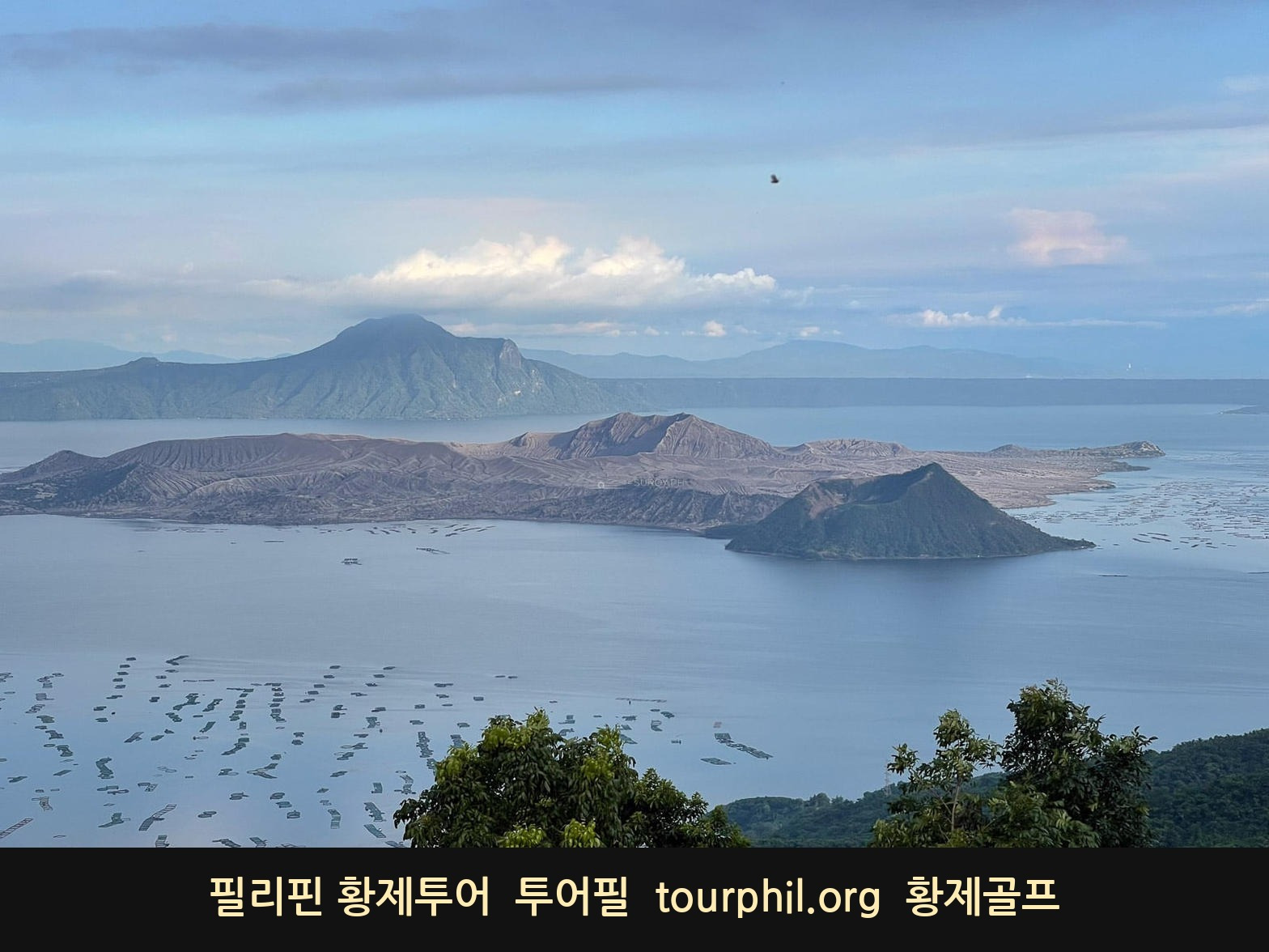 첨부 사진