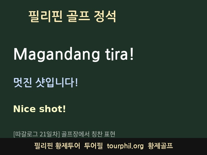 첨부 사진